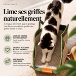 Panier griffoir Félinstinct