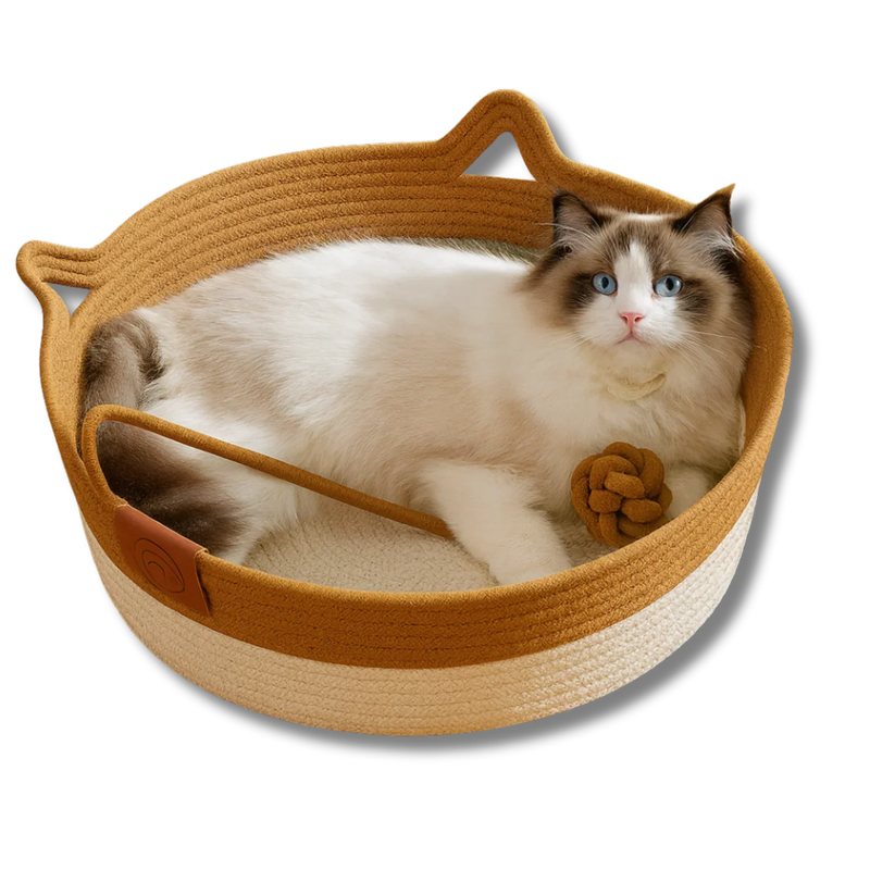 Instinct Basket avec un chat installé dedans